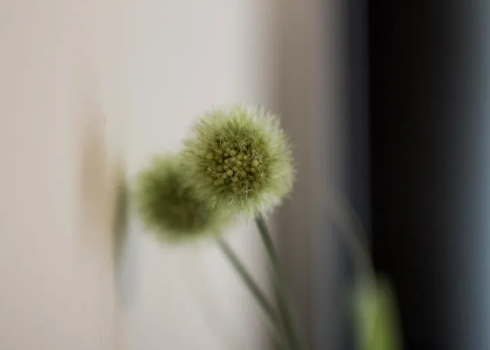 Bed & Breakfast Gstrein